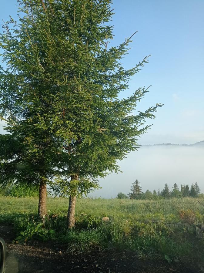 Chalet Ecottage для двох у горах із чаном-джакузі *