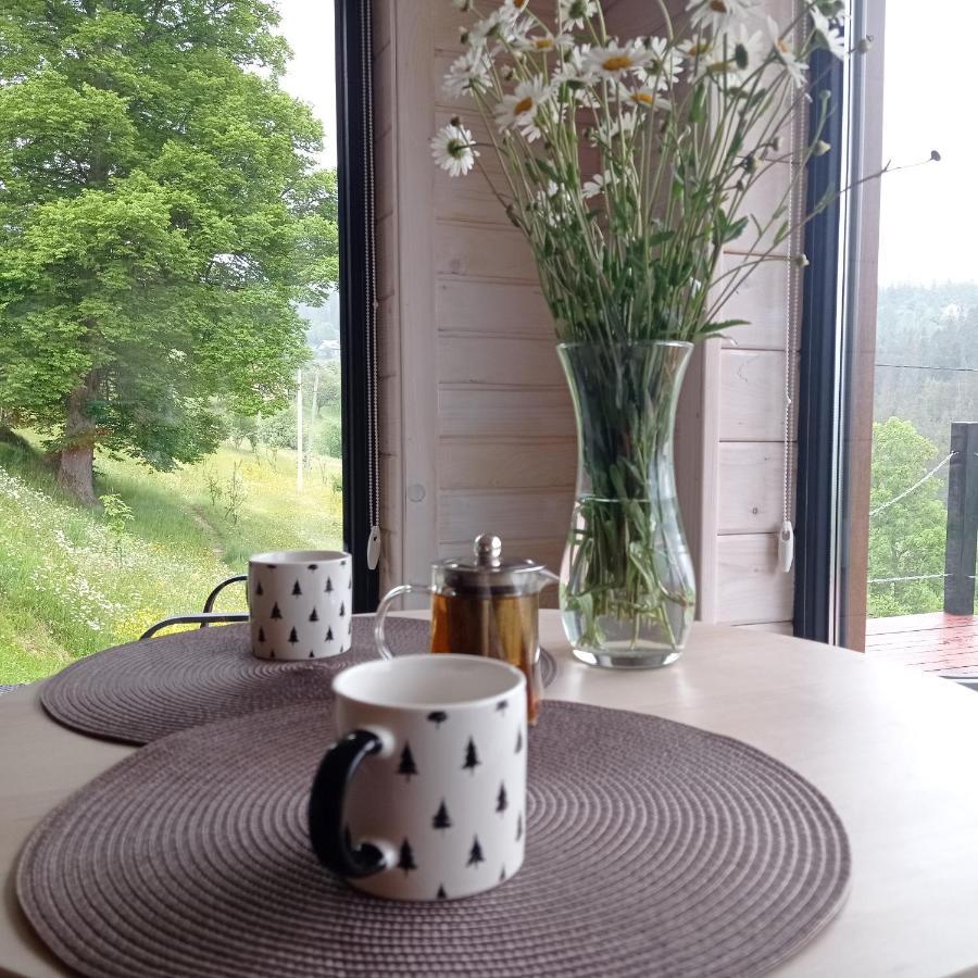 Chalet Ecottage для двох у горах із чаном-джакузі Slavske